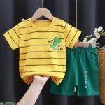 Baby short sleeve t-shirt set