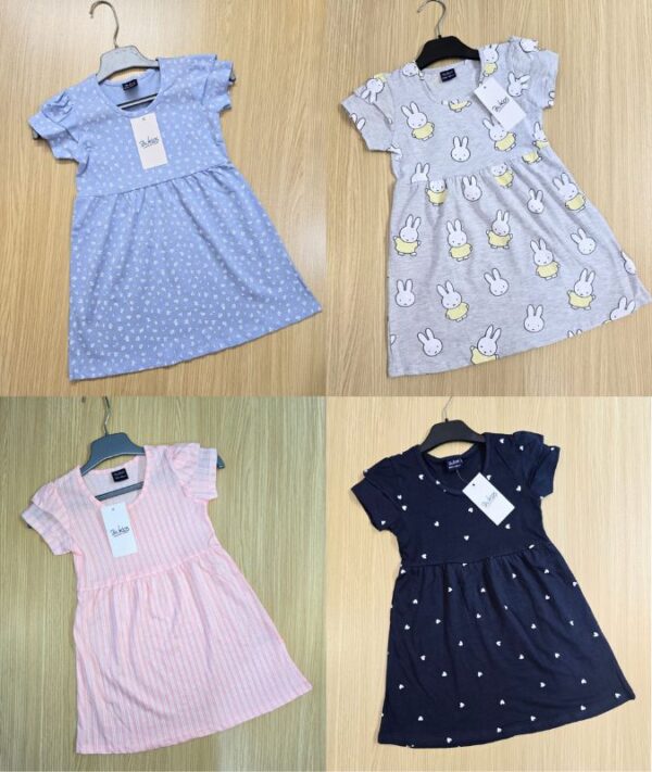 Girls fence frock combo